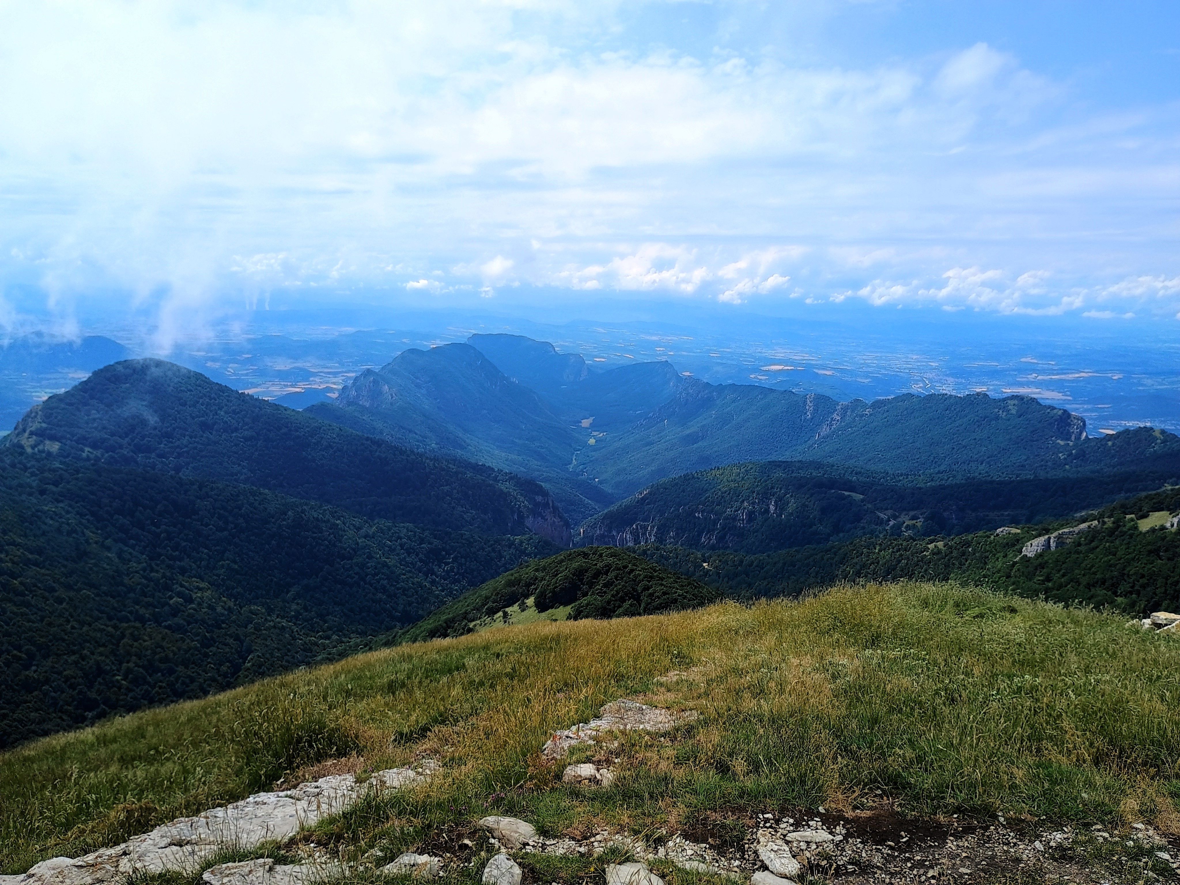 La forêt de Saoû depuis le sommet des Trois Becs