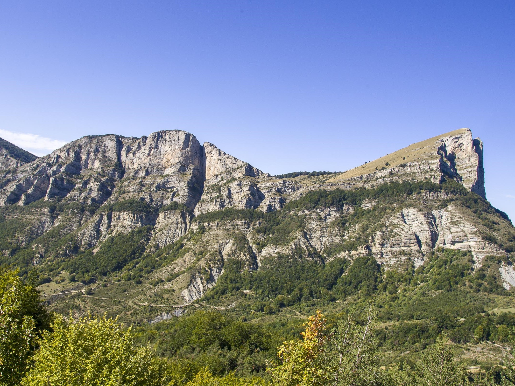 Le sud de la forêt de Saoû et le Veyou depuis le Col de la Chaudière